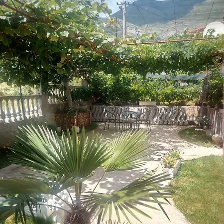 Tamara Vinogradi * Trebinje