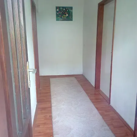 Tamara Vinogradi Apartman *